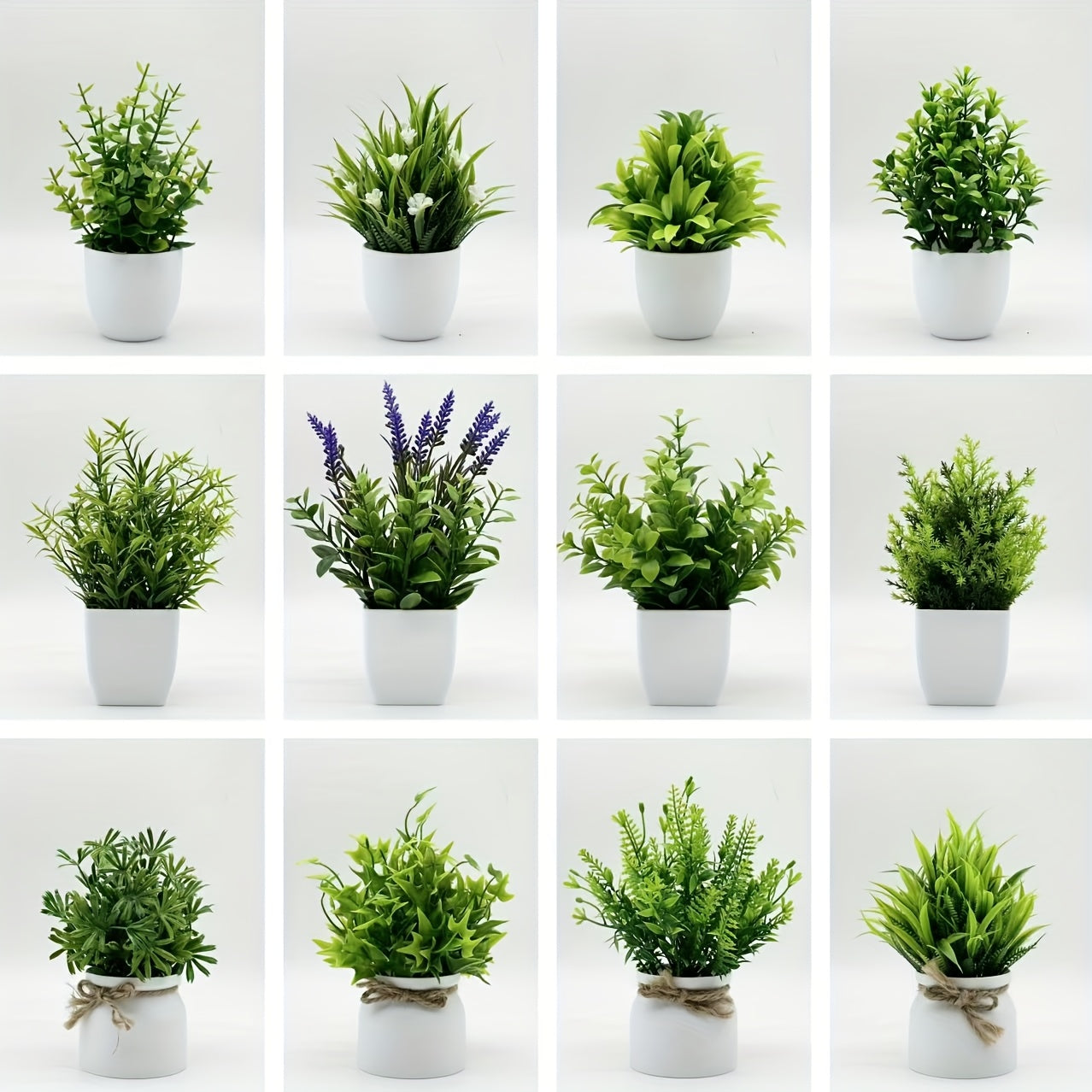 ミニ観葉植物 12個セット 白いポット付き – 自然な雰囲気のインテリア装飾