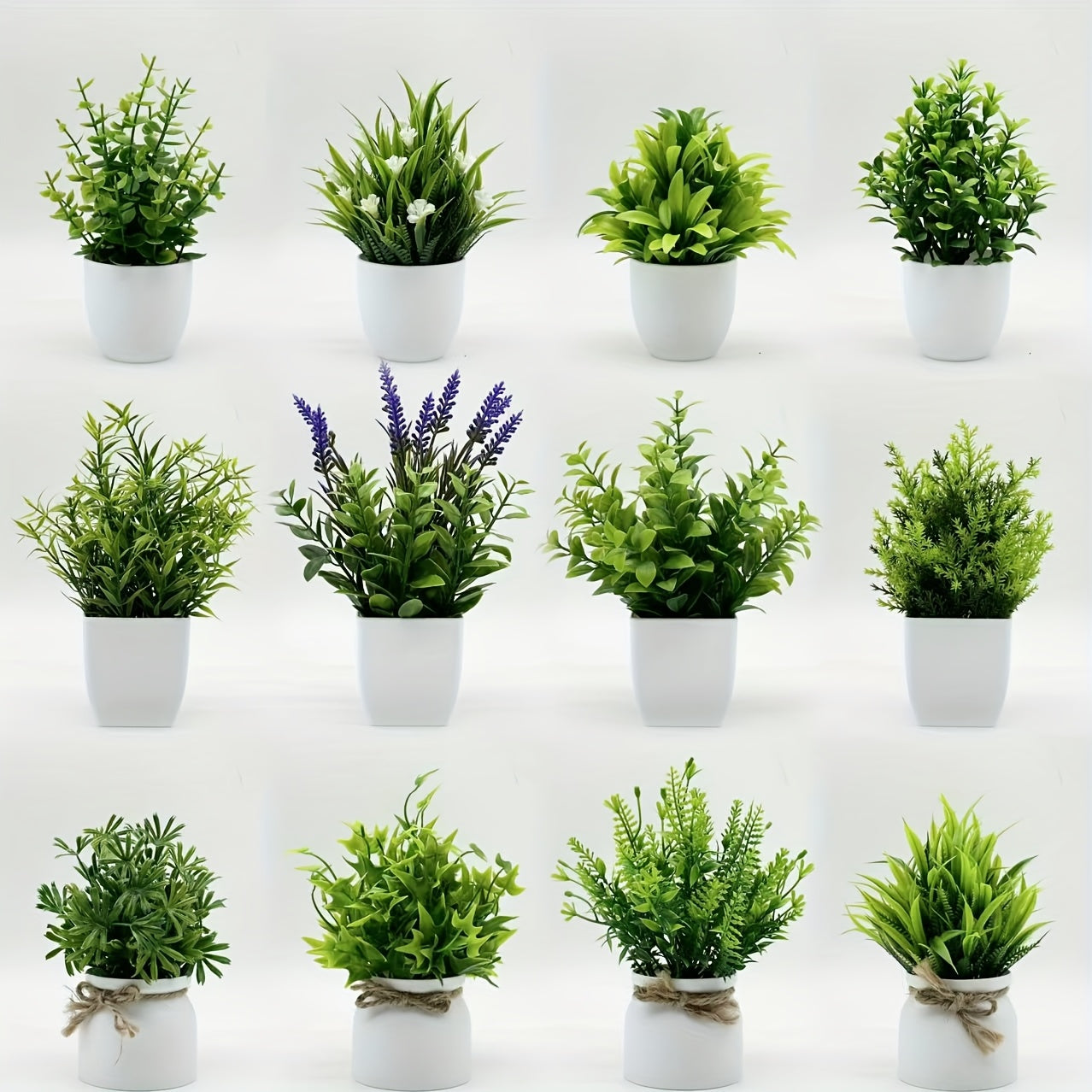 ミニ観葉植物 12個セット 白いポット付き – 自然な雰囲気のインテリア装飾