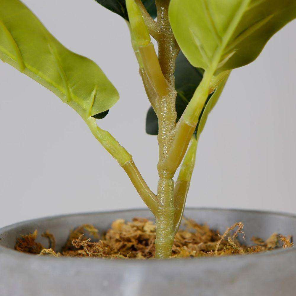 Panuco Potted Faux Fiddle Plant
