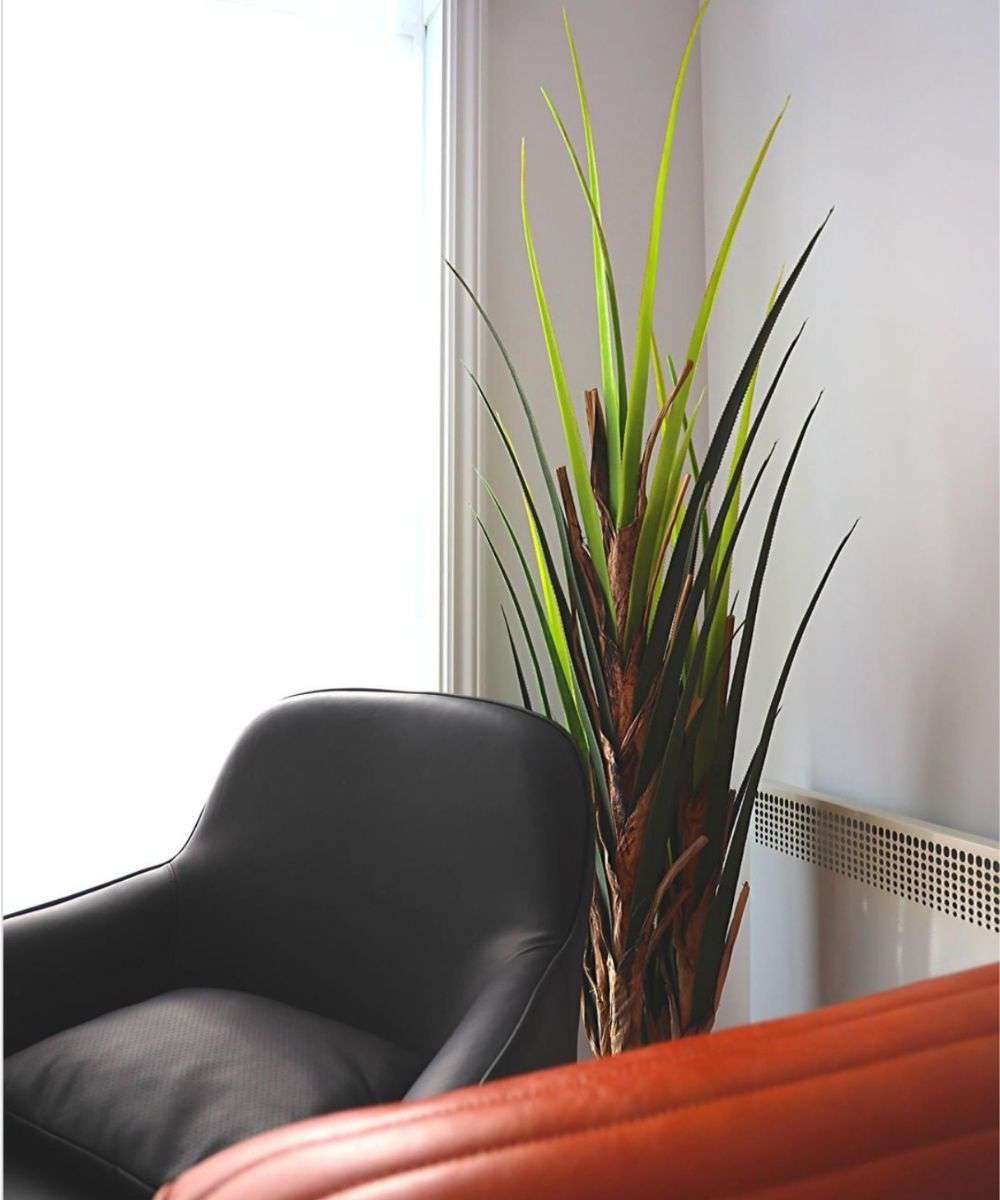 Ralu Aloe Artificial Tree Potted Plant (Multiple Sizes)