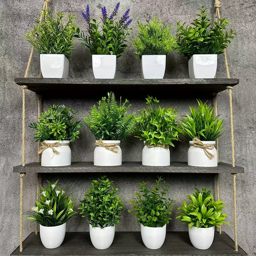 ミニ観葉植物 12個セット 白いポット付き – 自然な雰囲気のインテリア装飾