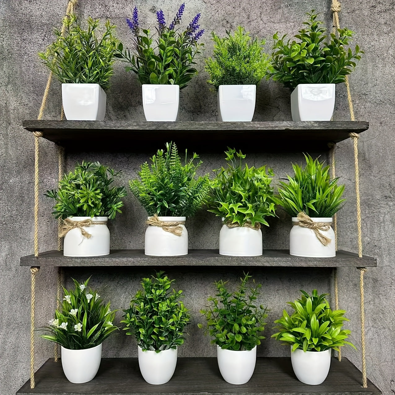 ミニ観葉植物 12個セット 白いポット付き – 自然な雰囲気のインテリア装飾