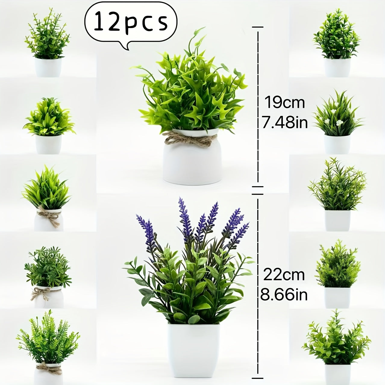 ミニ観葉植物 12個セット 白いポット付き – 自然な雰囲気のインテリア装飾