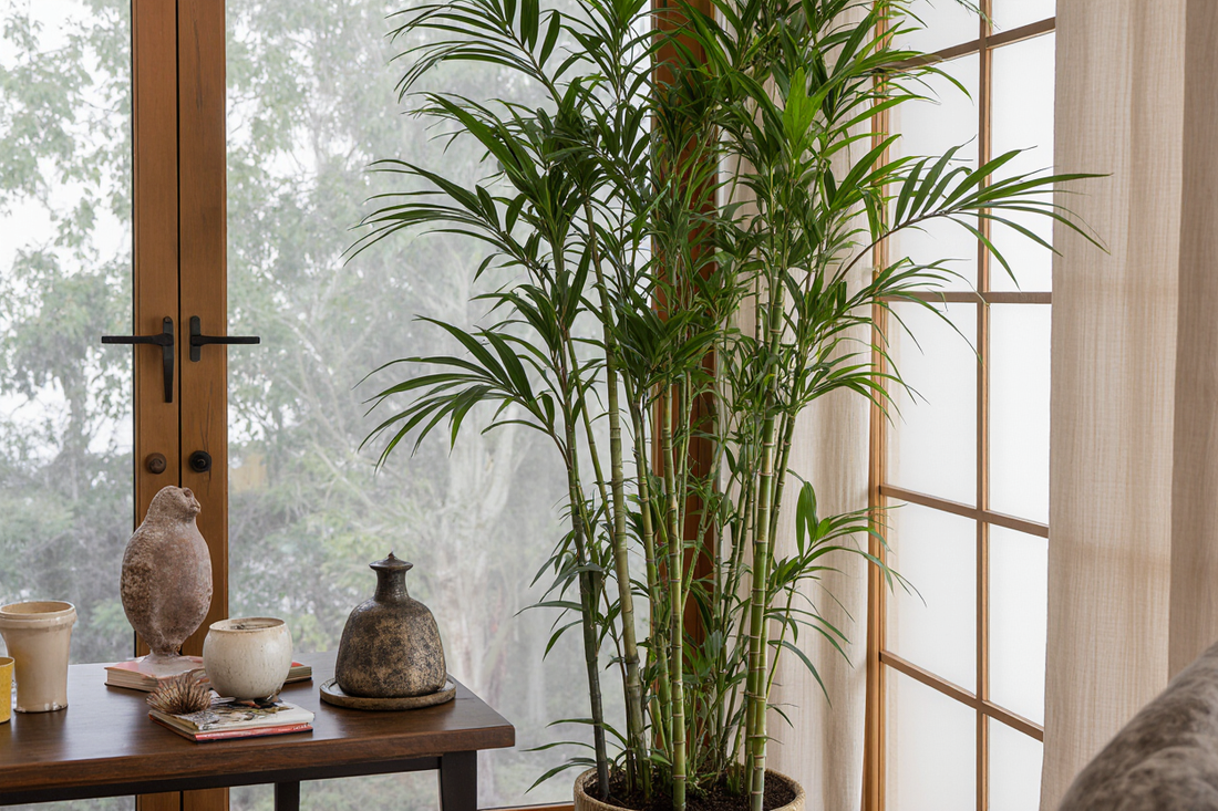 おしゃれなオフィスに最適な人工観葉植物ベスト7