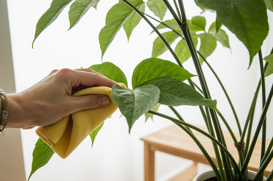 人工観葉植物のお手入れ方法：長持ちさせる秘訣