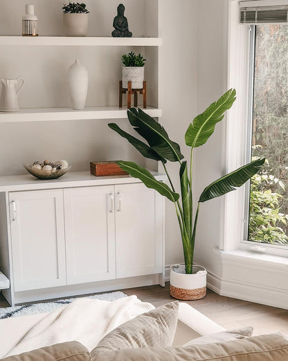Luca Artificial Bird Of Paradise Potted Plant (Multiple Sizes)
