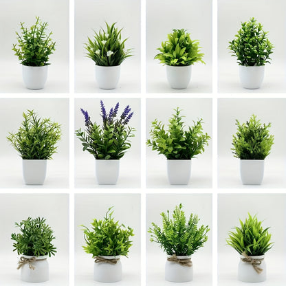 ミニ観葉植物 12個セット 白いポット付き – 自然な雰囲気のインテリア装飾