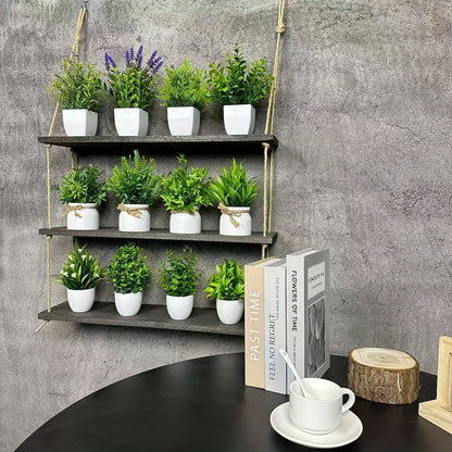 ミニ観葉植物 12個セット 白いポット付き – 自然な雰囲気のインテリア装飾