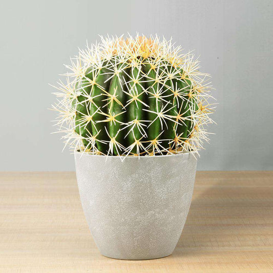 Coco Artificial Cactus Potted Plant 11"