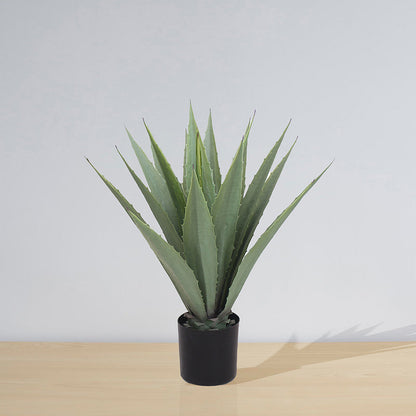 Tunja Artificial Century Potted Plant (Multiple Sizes)