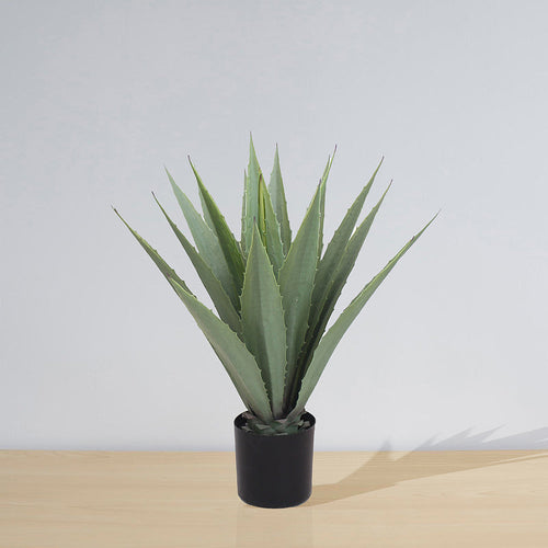Tunja Artificial Century Potted Plant (Multiple Sizes)