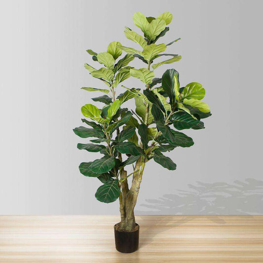 Pico Artificial Fiddle Leaf Potted Plant 5.5'