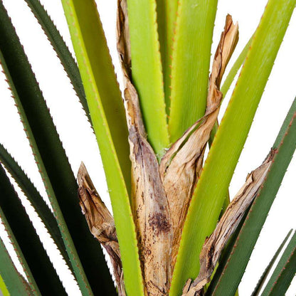 Ralu Aloe Artificial Tree Potted Plant (Multiple Sizes)