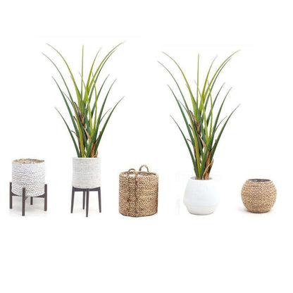 Ralu Aloe Artificial Tree Potted Plant (Multiple Sizes)