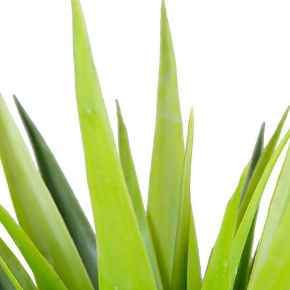 Yara Artificial Aloe Potted Plant 51"