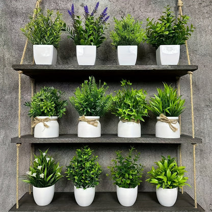 ミニ観葉植物 12個セット 白いポット付き – 自然な雰囲気のインテリア装飾