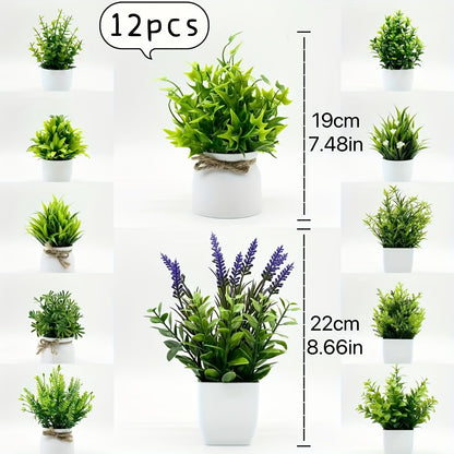 ミニ観葉植物 12個セット 白いポット付き – 自然な雰囲気のインテリア装飾